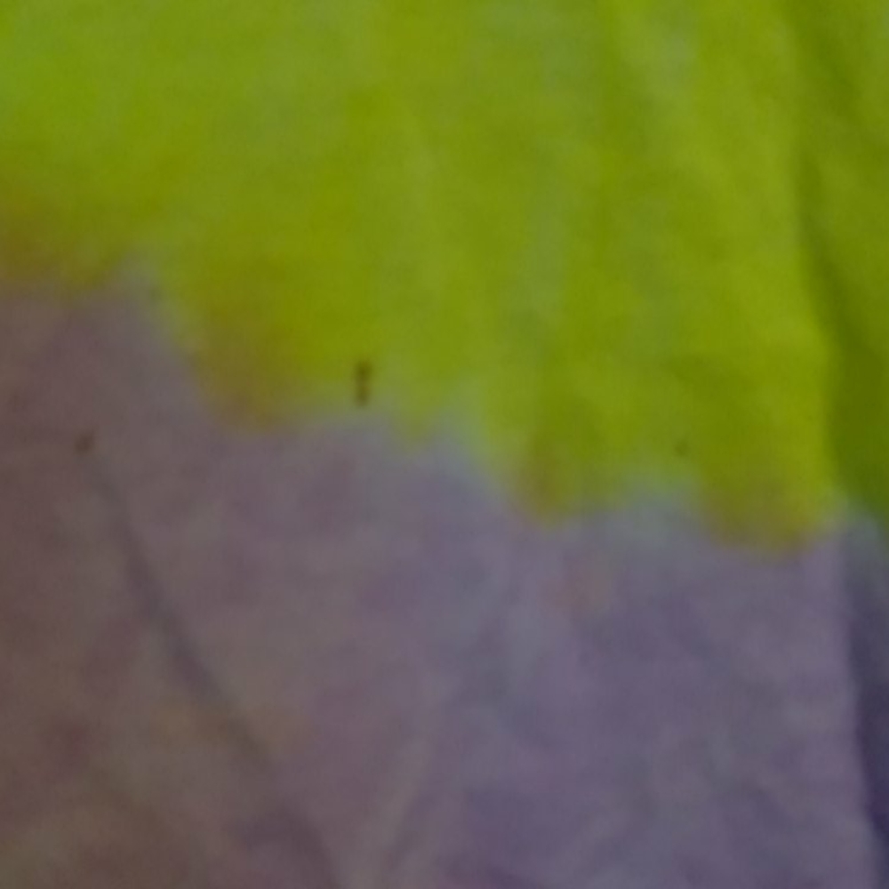 Top - Picture 2 of 3
